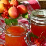 Confiture sans sucre